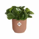 Elho Bloempot Vibes Fold rond Mini 7cm roze - afbeelding 2