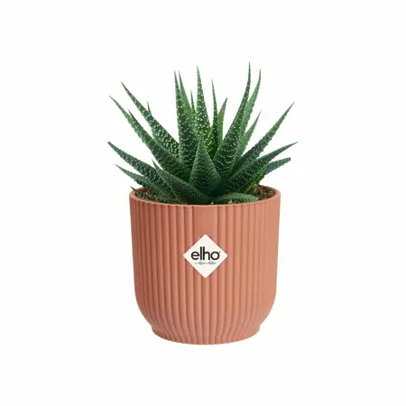 Elho Bloempot Vibes Fold rond Mini 7cm roze - afbeelding 3