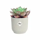 Elho Bloempot Vibes Fold rond Mini 7cm wit - afbeelding 2