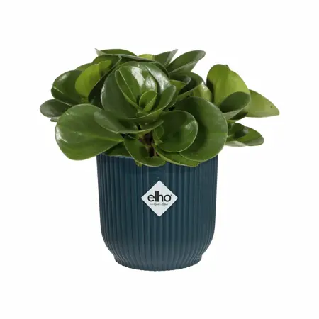 Elho Bloempot Vibes Fold rond Mini 9cm blauw - afbeelding 4