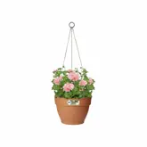 Elho vibia campana hangschaal 26cm - afbeelding 3