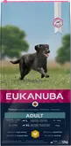 Eukanuba dog adult large 12kg