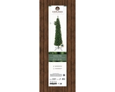 Everlands kunstkerstboom Pencil pine h120cm - afbeelding 3