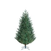 Black Box Trees Frasier Fir Kunstkerstboom Blauw - H 185 x D 124 cm