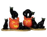 Halloween Cats, Set Of 2 Spooky Town