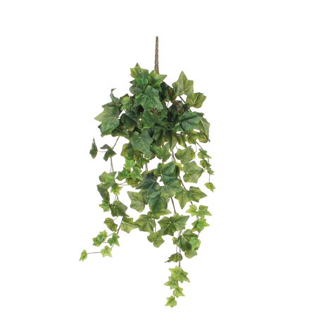 Hedera hangend groen - l71cm