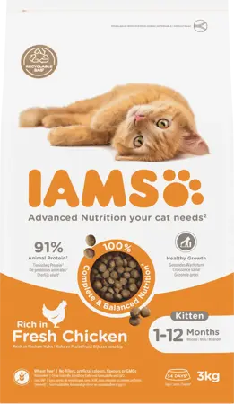 Iams cat kitten/junior chicken 3kg