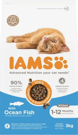 Iams cat kitten ocean fish 3kg