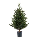 Janga Kerstboom in pot Groen - H 100 x D 58 cm