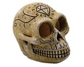 Superfish Skull Monkey