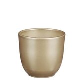 Tusca pot rond goud - h11xd12cm