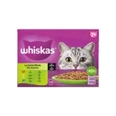 Whiskas Pouch Senior Saus Mix Selectie Mp 12X85Gr